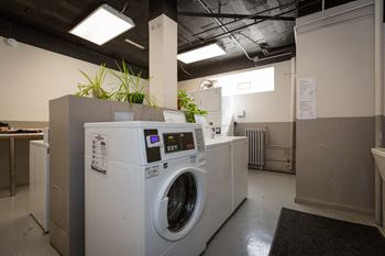 Coin-operated laundry